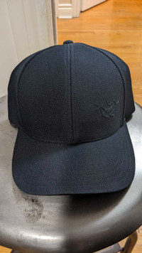 Arc'teryx blue flex fit cap