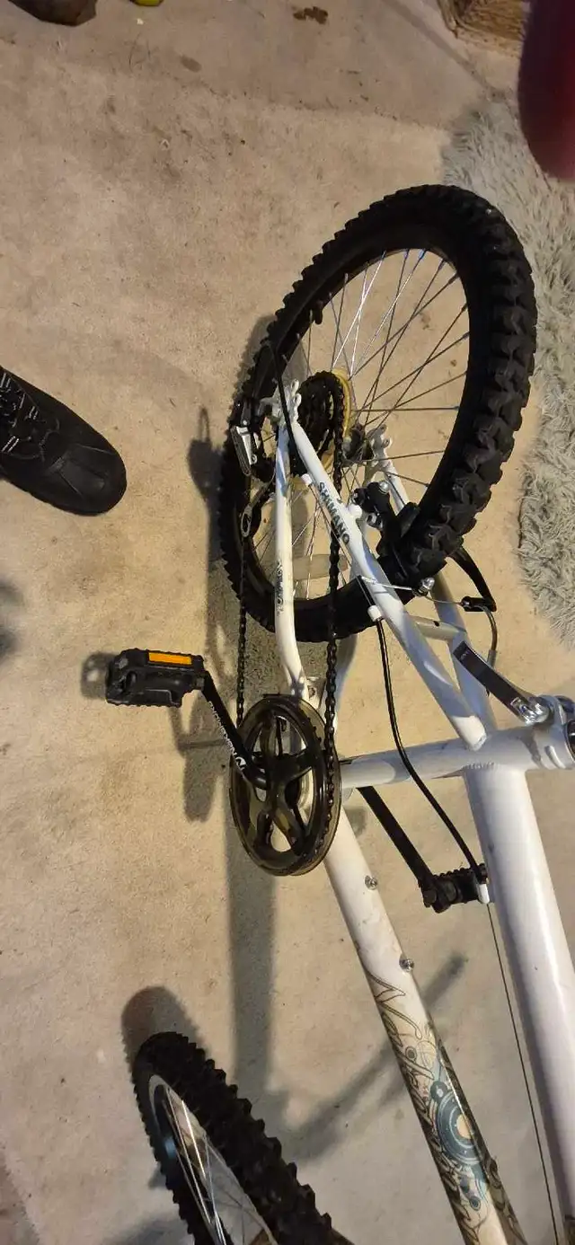 Youth Mountain Bike – Fully Tuned, Greased & Tuned Ready to Ride in Kids in London - Image 8