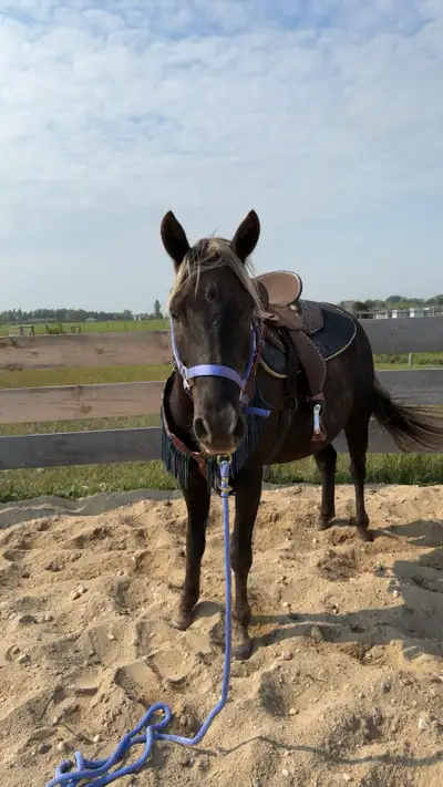 green broke, View more