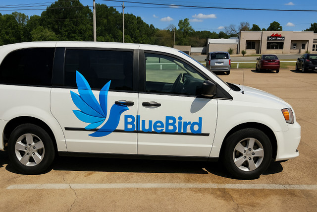 BlueBirdCleaners - City of Toronto in Cleaners & Cleaning in City of Toronto - Image 2