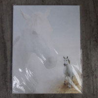 'Horse' Decorative Paper- Package