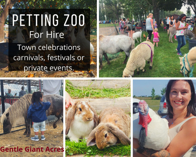 Mobile petting zoo and pony rides, we travel to your events! in Other in Lethbridge