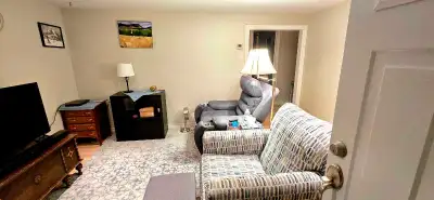 One bedroom/ bachelor apartment for rent. (The bedroom joins onto the living room, so 'technically'...