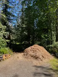 $30/yd Bulk Mulch