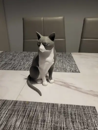 3D print your pet. Send me a photo of your pet. I will create a 3D model to show you. If you like It...