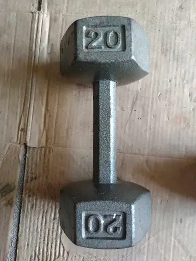 One 20 lbs Hex Dumbbell, View more