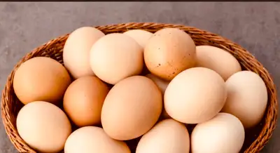 High chance of pure silkies, but we do have a duccle rooster, a svarthona, and a Hmong. They tend to...