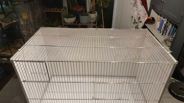 cages oiseau dans Accessoires  à Lanaudière - Image 4