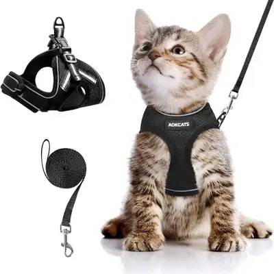 Harnai taille small avec laisse (Aokcats), View more