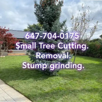 SMALL TREES, SHRUBS AND STUMPS. REMOVAL. OAKVILLE. 647-704-0175