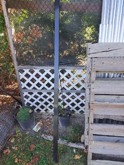 2 x 2 x 78" galvanized powder coated posts, View more