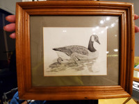 Vintage Birds - Framed & Matted