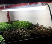 Lumières NEUVES (2 et 4 pieds) LED pour jardin, semis, plante