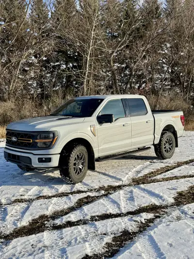 Purchased brand new from Sherwood Ford in January of 2025. Color is Avalanche. Put 35” BF Goodrich K...