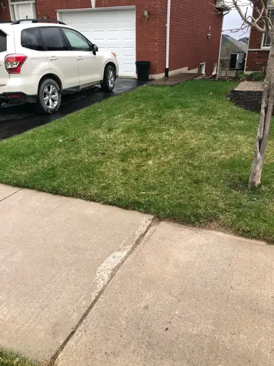 walkout basement for rent