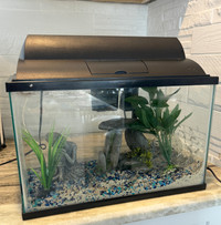 5 gallon complete aquarium 
