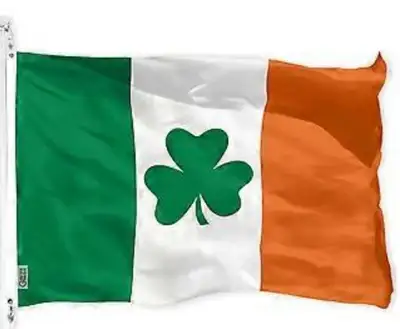 The Irish Plumber , View more