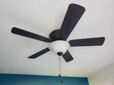 Hampton Bay ceiling fan with Light. Multi speed. Works great. Disassembled and in a box currently.