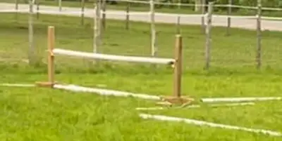 Jump Standards , View more