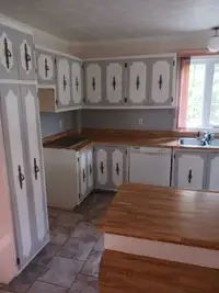 Cabinets de cuisine 