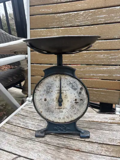 ⚖️ Salter Kitchen Scale – Cast Iron , View more