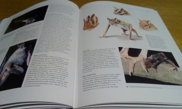 Encyclopedia of Animals Coffee Table Book in Non-fiction in Winnipeg - Image 4