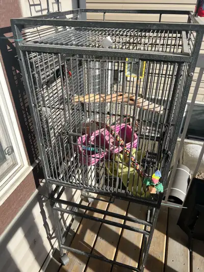 bird cage Take IMMEDIATELY, View more