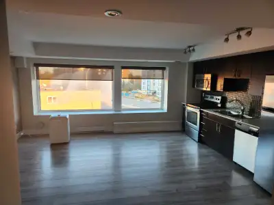 Apartment Rental sublet or Reassignment Starting June 30th