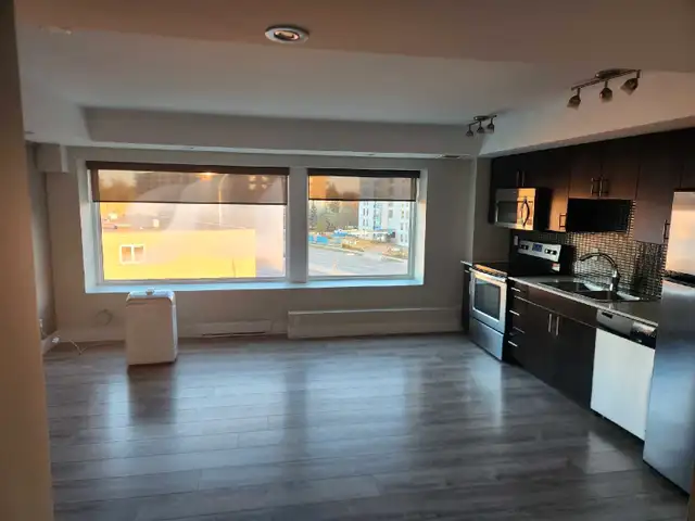 Apartment Rental sublet or Reassignment Starting June 30th628643768857631213