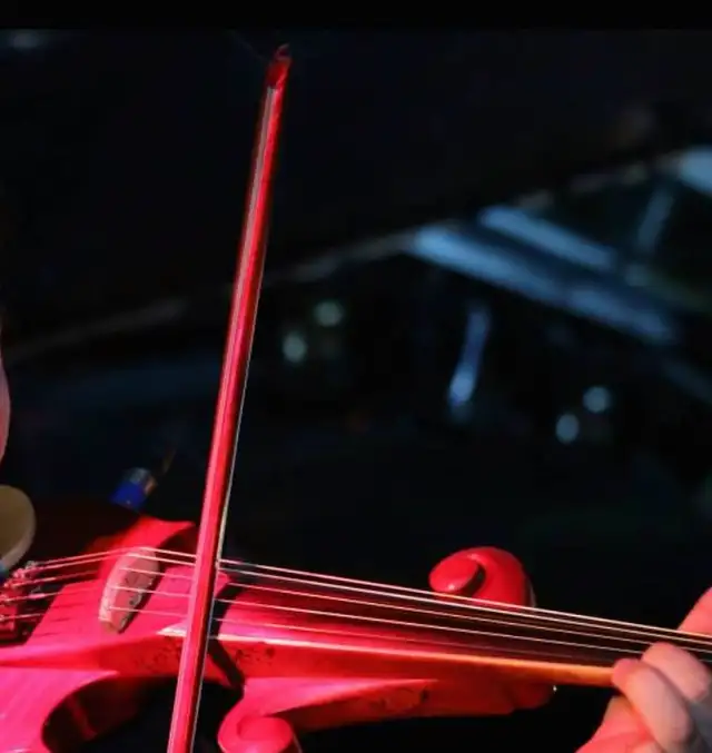 professional 5 strings electric violinist available