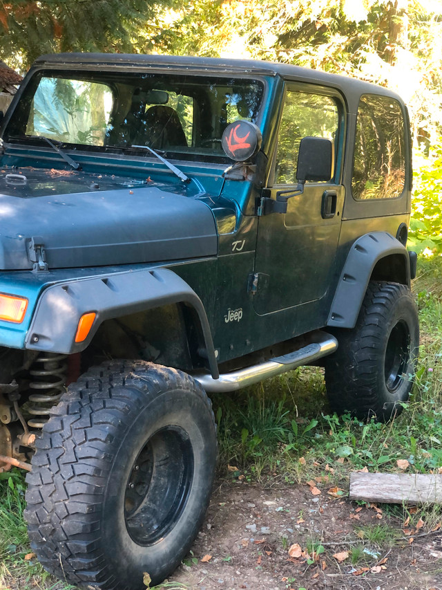 1998 Jeep TJ in Cars & Trucks in Nelson - Image 3