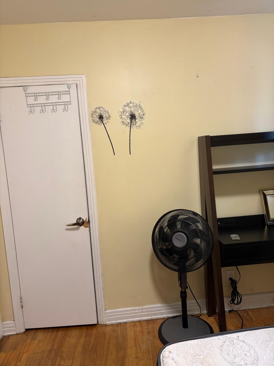 Room for Rent Near Ottawa General Hospital | Room Rentals & Roommates ...