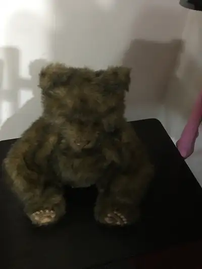 TEDDY BEAR TALKING TOY, View more