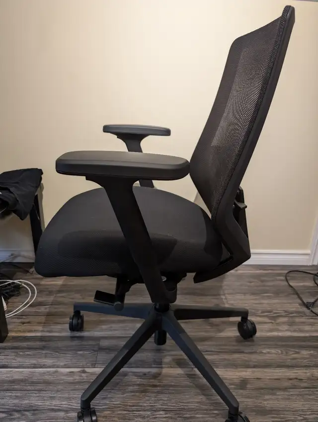 Branch Furniture Ergonomic Chair Pro | Needs New Cylinder in Chairs & Recliners in Winnipeg - Image 3