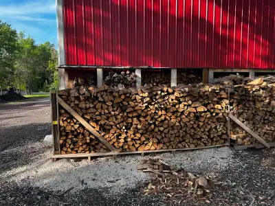 Cut , split and seasoned (1 yr) Roughly 16” pieces Pick up or delivered (for a fee) Mostly Ash some...