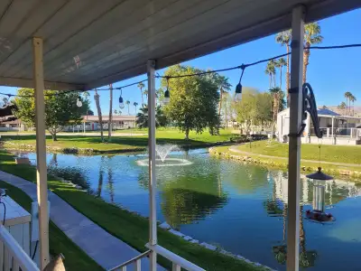 Beautiful water front feature lot and park model deck and shed included. Meyer lemon tree. Sport cou...