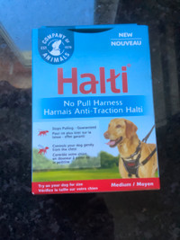 Halti chien harnais anti traction