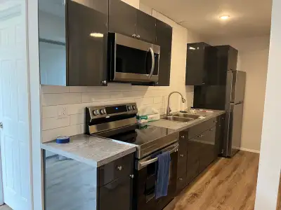 Seeking working professionals for newly renovated ground level basement suite with private entrance,...