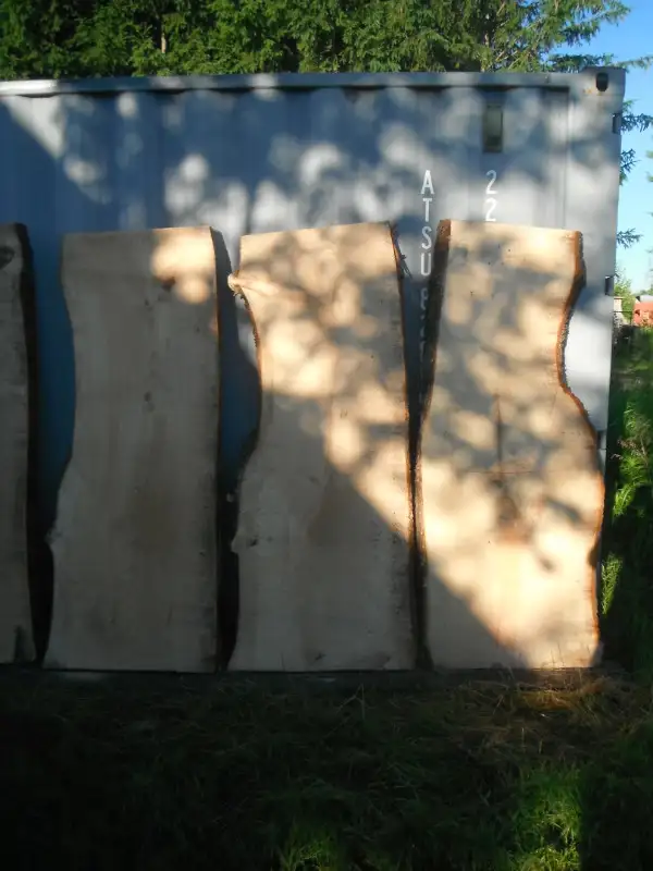Live edge pine slabs for cottage or patio tables in Outdoor Décor in Ottawa - Image 5