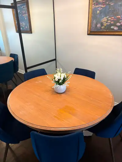 Solid wood table and insert, View more