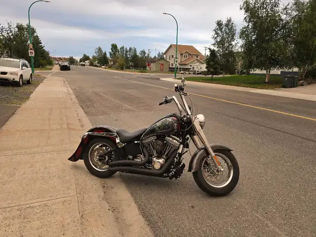 Custom Harley Softail in Street, Cruisers & Choppers in Edmonton - Image 4