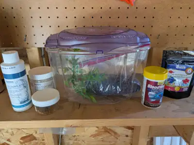 Fish tank and starter pack (small, suitable for betta fish), View more