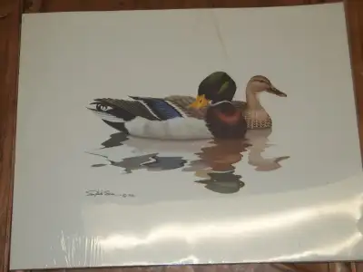 Waterfowl Prints, View more