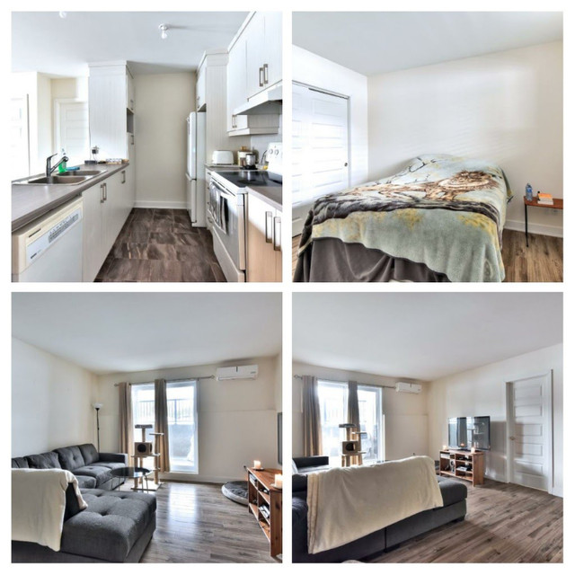 MAGNIFIQUE CONDO MODERNE 4 ½ À LOUER DEUX MONTAGNES (ANIMAUX A Locations longue durée
