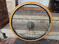 Continental reer bikes tires.  The size in the pictures.  Almost