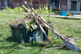 spring clean up, View more