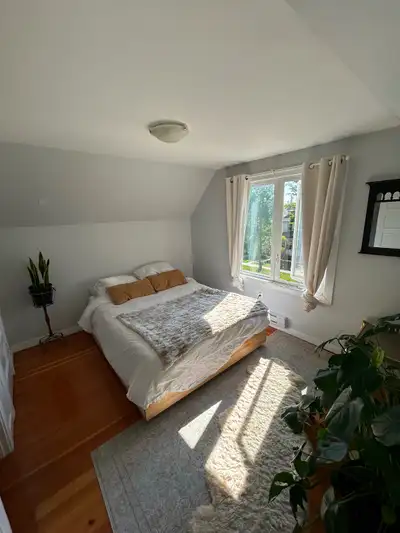 looking for a roommate to rent a room / share my space! beautiful spot in Wolseley with windows on a...