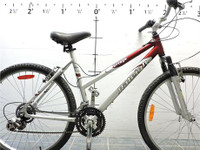 Raleigh portage bike