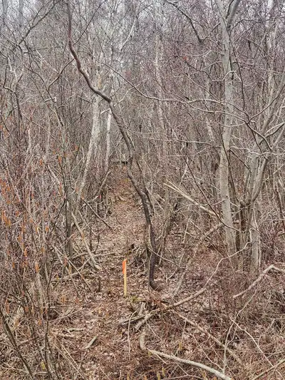 3 Acres Land for Sale on Ocean Beach Road, Bramber, Nova Scotia, 392 feet of Road Frontage, 1 hr fro...