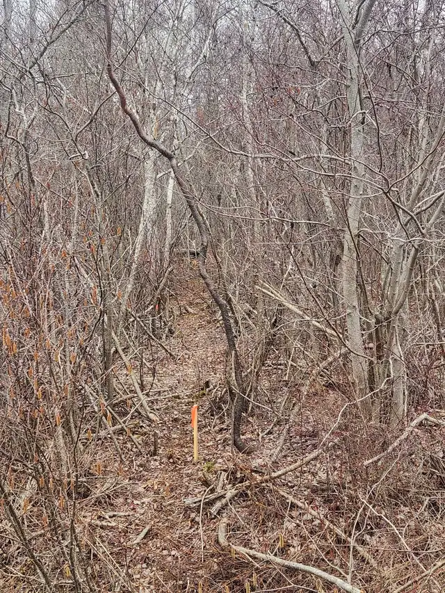 3 Acres  of Land for Sale on  Ocean Beach Road, Bramber, NS, Ca in Land for Sale in City of Halifax - Image 2